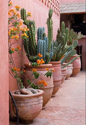 photos tourisme maroc